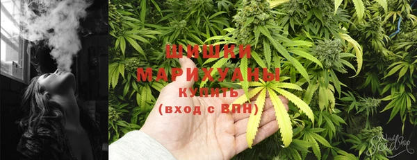 дмт Козельск