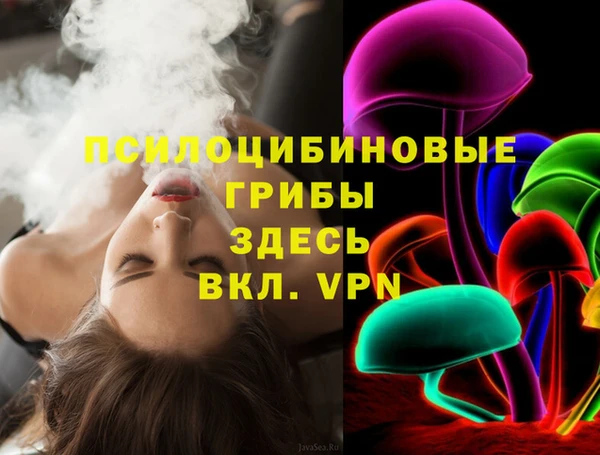 mdpv Козловка