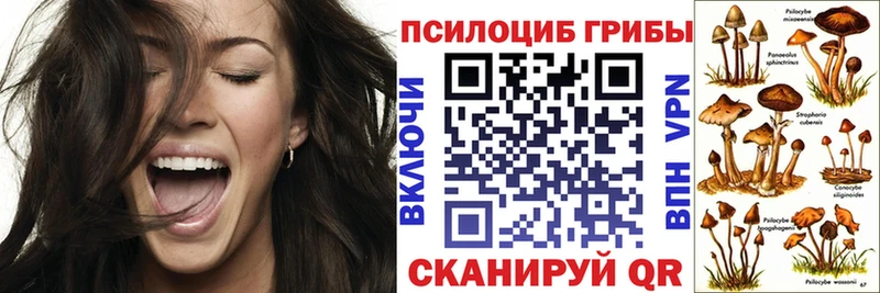 Псилоцибиновые грибы Psilocybe  продажа наркотиков  Костерёво 